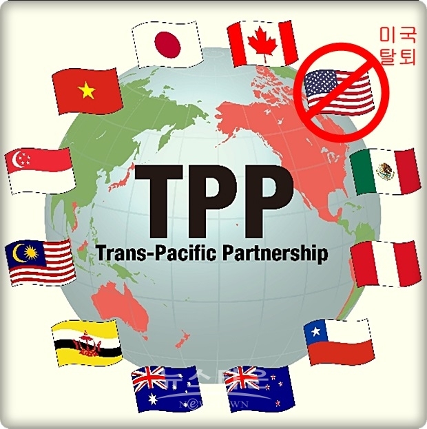 TPP에 불참한 한국과 다른 불참국 세력이 경합하는 과정에서 일본 업체들이 보다 유리할 것이라는 판단을 하고 있는 것으로 보인다.