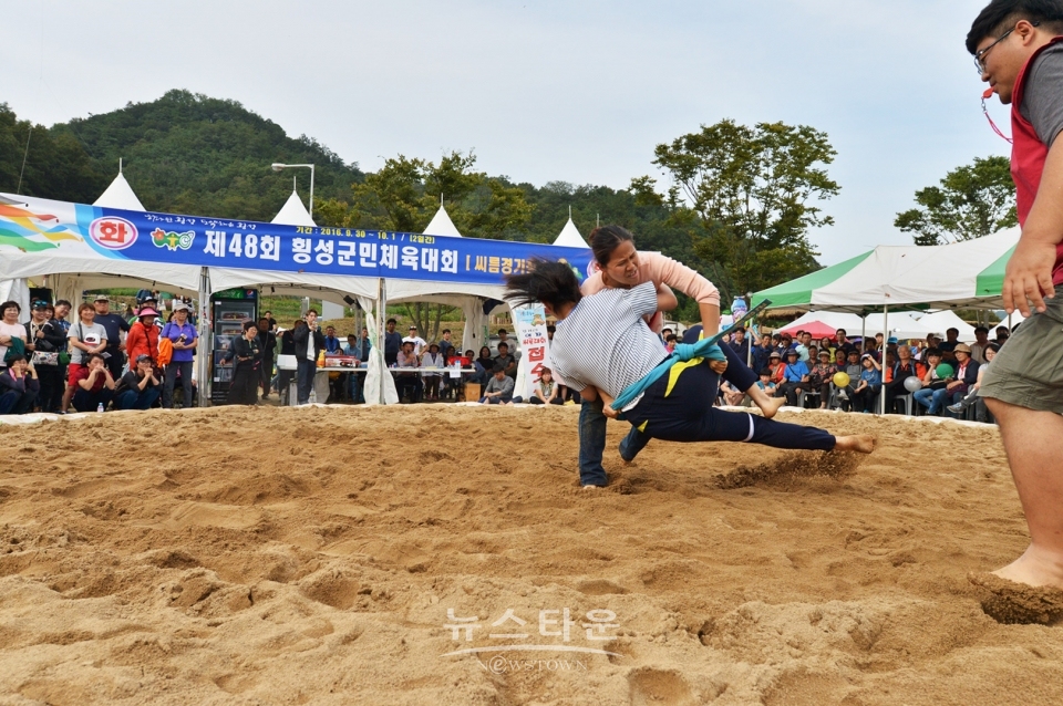 횡성한우축제 자료사진