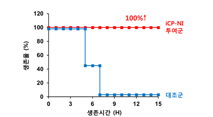 사진설명: iCP-NI 투여에 의한 급성간염 동물모델의 생존효과 (생존율 0% → 100%)
