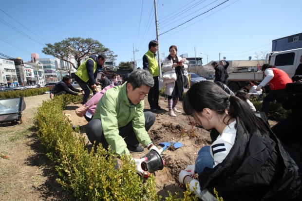 2019년 나무심기 행사에서 장미를 심고 있는 이강덕 포항 시장