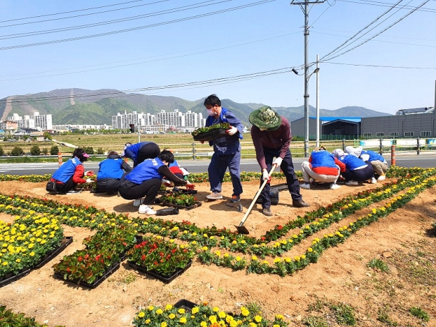 북경주행정복지센터 직원들과 안강바르게살기위원회 위원들이 교통섬에 꽃을 식재하는 모습