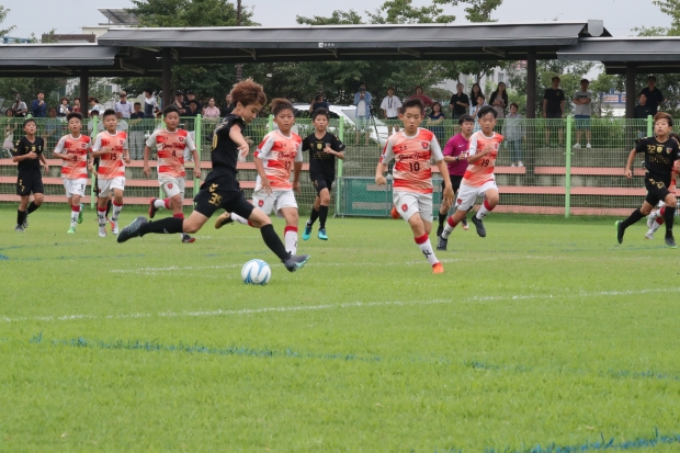 지난 2019년 개최된 화랑대기 전국유소년축구대회 자료 사진