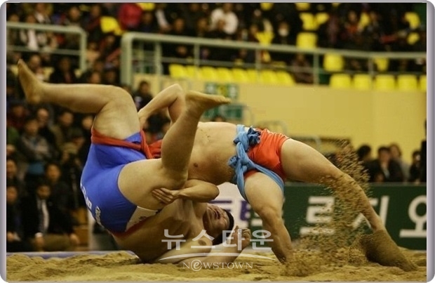 영국의 비비시(BBC)방송은 한국의 레슬링 인정을 위한 단일팀(Koreas tag-team for wrestling recognition)이라는 제목의 기사에서 한국에서는 씨름을 영어로 Ssireum이라고 표기했고, 북한은 씨름을 Ssirum이라고 표기했다고 소개하면서 한국의 레슬링(Korean Wrestling)이라는 표현을 쓰기도 했다.