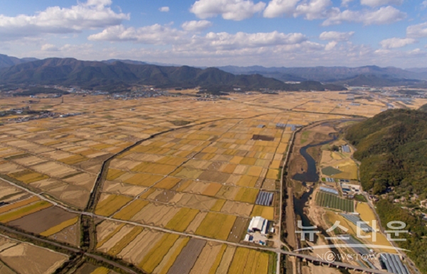경주시, 식량산업분야 중장기적 종합계획 수립