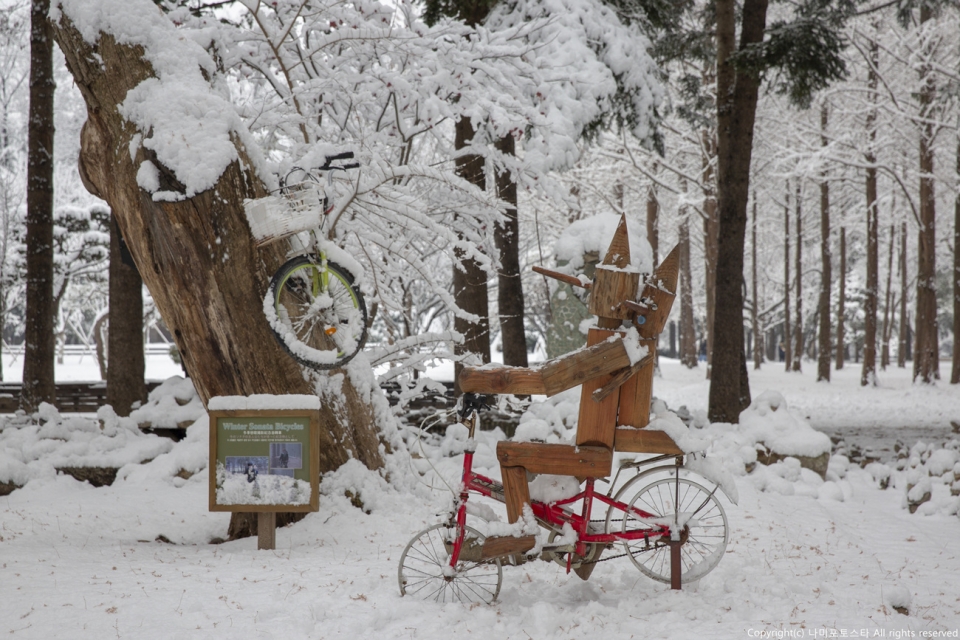 남이섬의 겨울