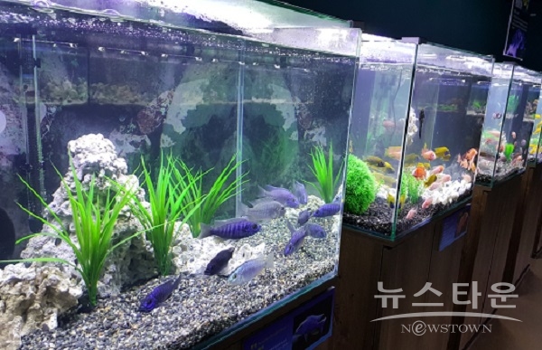 민물고기 생태체험관