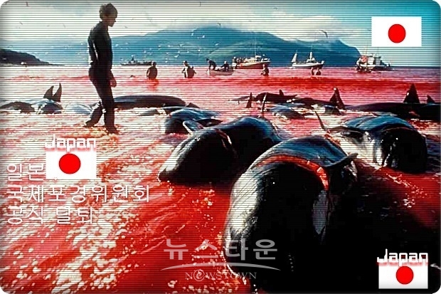일본 정부는 내년 7월부터 일본 근해에서 상업포경을 재개할 방침이다. 지난 1988년 이래로 일본의 포경정책은 큰 전환점을 맞았다. 일본의 국제기구 탈퇴는 극히 이례적으로 호주 등 반(反)포경국들의 반발도 예상된다.