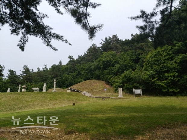 흥선대원군묘 전경
