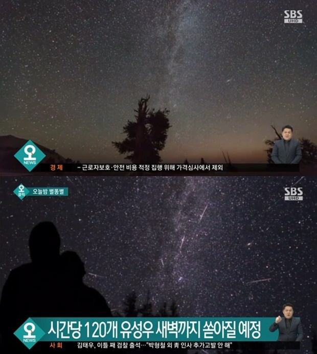 (사진: SBS 뉴스)