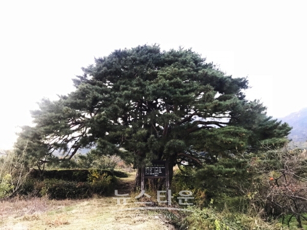 십일천송