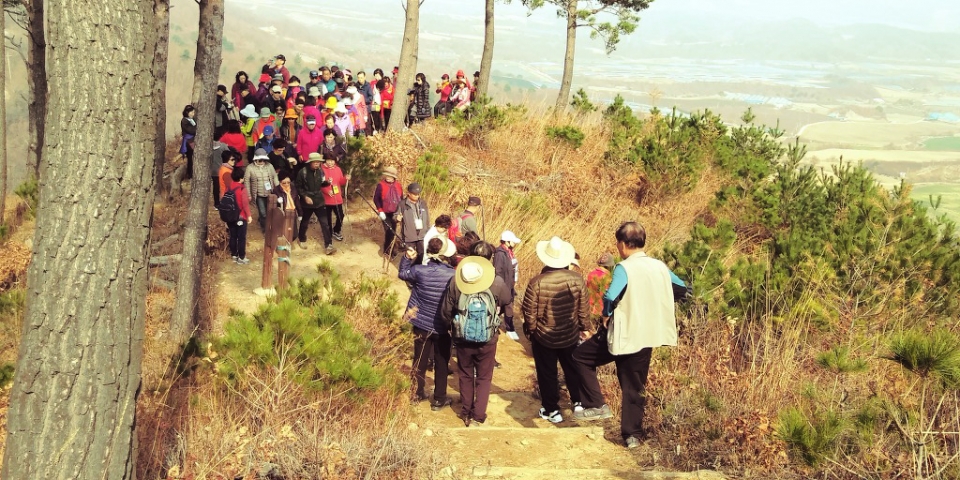 숲길등산지도사 활동사항 자료사진