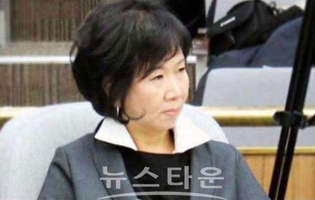 더불어민주당 손혜원 의원