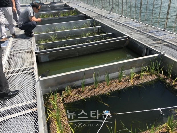 2018년 인공습지 점검사진