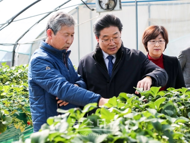 당진 순성면 나산리 딸기 시설하우스 지중저수열이용 기술 시범사업장 방문