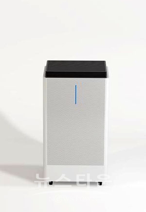 이케이네트웍스