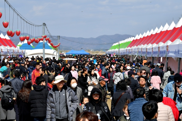 논산딸기축제장(2018)