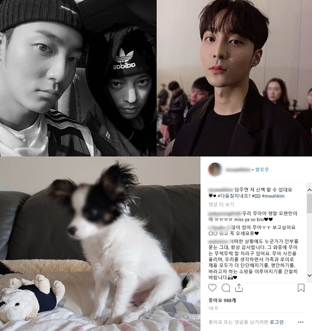 로이킴 근황 (사진: 로이킴, 로이킴 반려견 인스타그램)