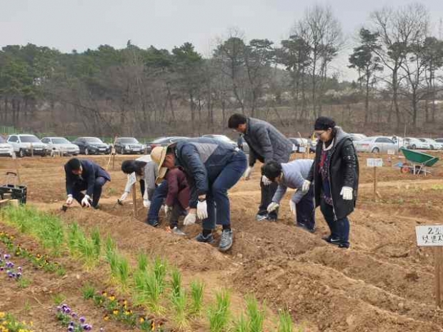 도심 속 텃밭을 일구고 있는 화성시 도시농부 모습