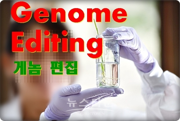 게놈 편집을 둘러싸고 중국의 연구자가 이 기술을 사용하여 쌍둥이를 탄생시킨 것이 지난 1월에 확인됐다. 이에 안전성과 윤리적인 문제가 있기 때문에 국제적으로 비판이 집중되고 있다.