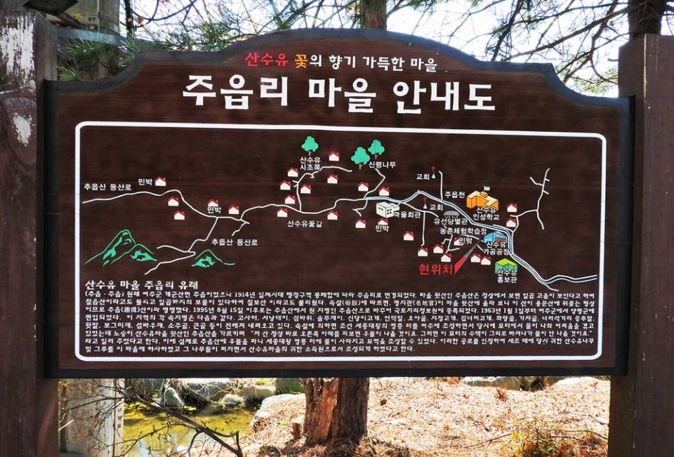 산수유마을 홍보판관 산수유한우축제 홍보물, 그리고 산수유시조목에 대한 글이 적힌 비석