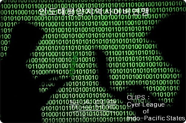 결의안은 “사이버 공격으로부터 자유롭고 개방된 인터넷을 보장하기 위해 미국 대통령이 인도태평양 지역에서 미국과 같은 생각을 공유하는 국가들과 사이버 연맹, 즉 클립스(CLIPS) 설립을 위한 조약을 체결”하도록 촉구했다.