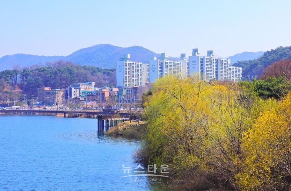 연세대 원주캠퍼스의 봄날