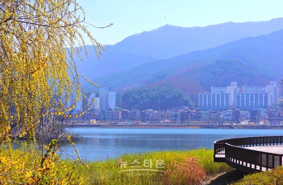 연세대 원주캠퍼스의 봄날