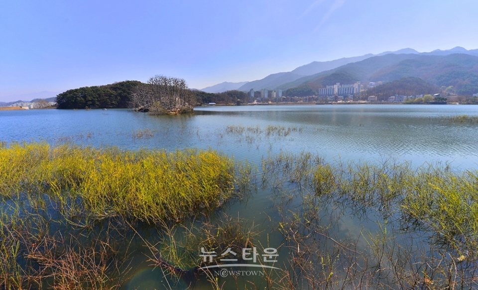 연세대 원주캠퍼스의 봄날