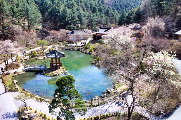 서화연