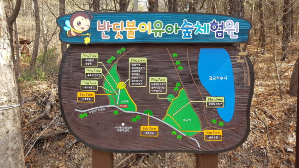 수원시, 광교산 산림욕장에 _반딧불이 유아숲 체험원_ 개장