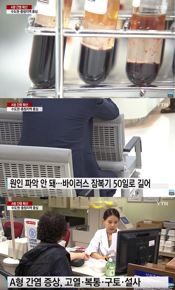 A형 간염 (사진: YTN 뉴스 캡처)