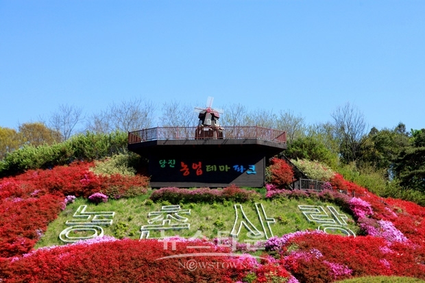 농심테마파크