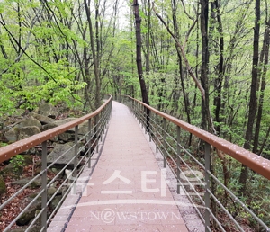 생태탐방로