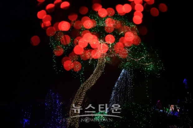 김광헌 사진전 ‘은하수의 계수나무’(김한정 기자)