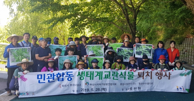 교란식물퇴치행사