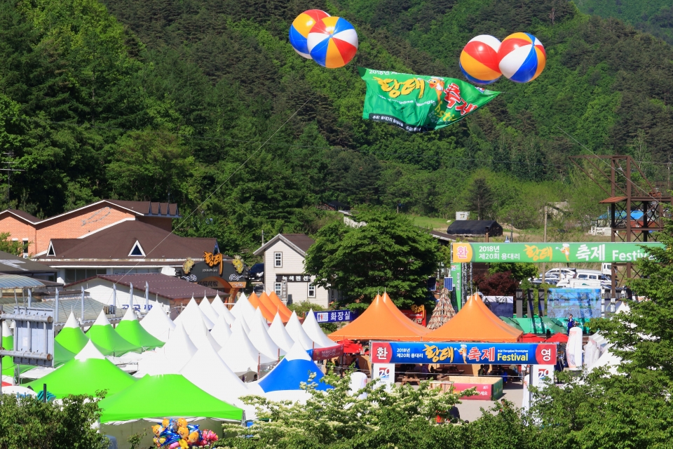 2018년 용대리 황태축제 자료사진