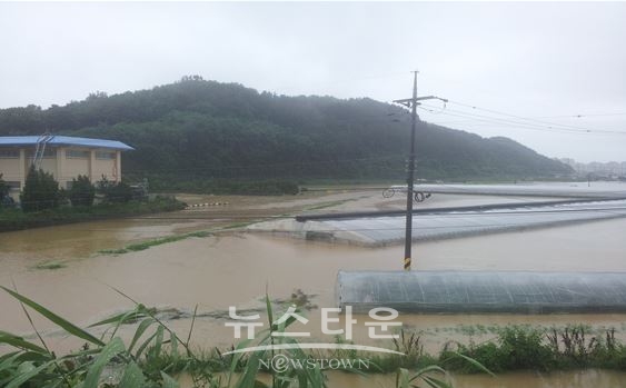 물에 잠겨있는 금산 금호지구
