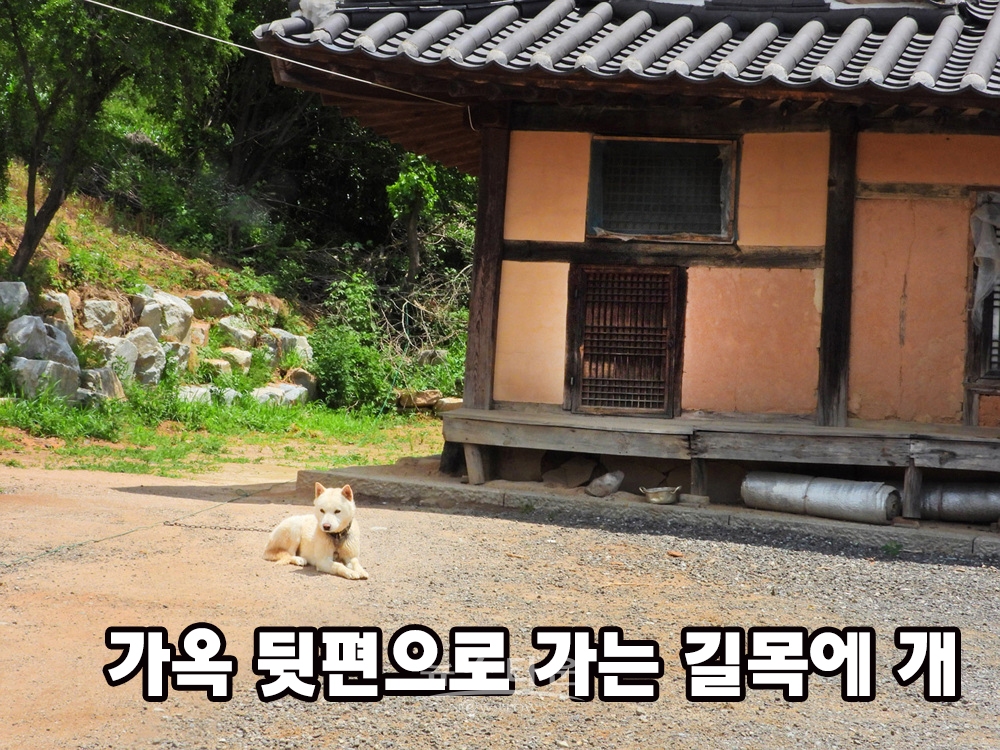 원주시 문막읍 건등리 김두한가옥