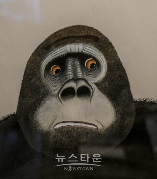 ‘앤서니 브라운 행복극장’展 조민서 작가, ‘미디어아트 협업 및 영상 연출’ (김한정 기자)