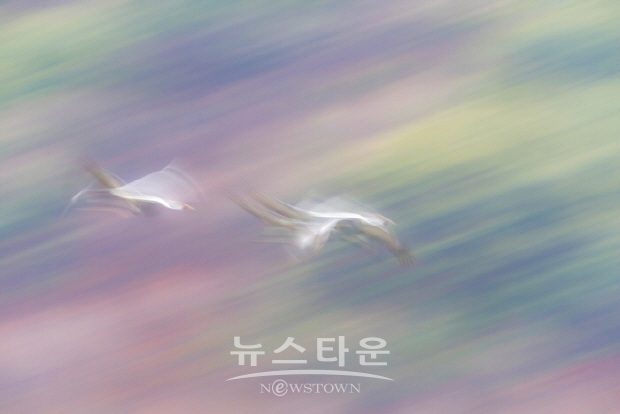 ‘점이 선이 되기까지’ 기획전(김한정 기자)