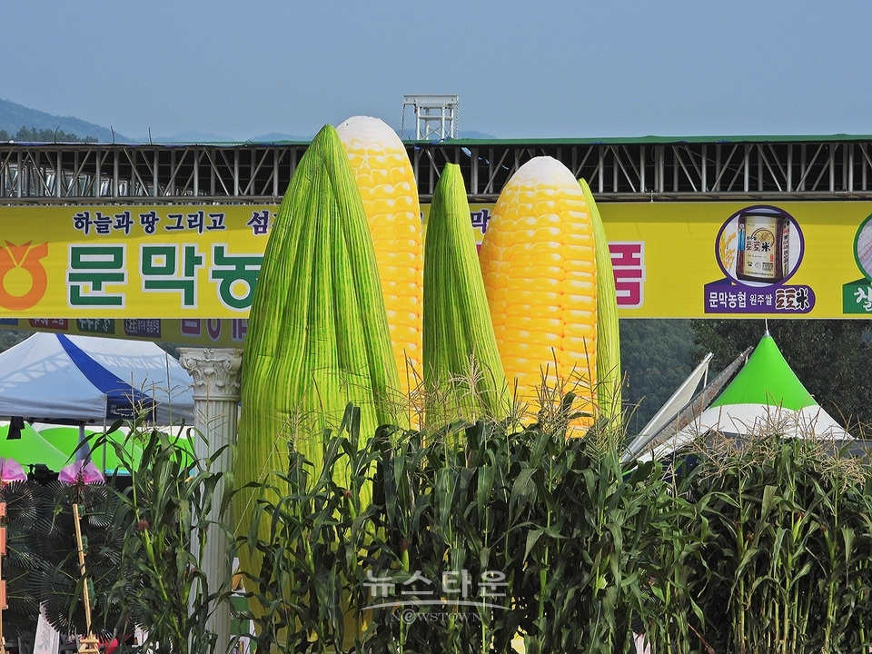 문막농협 옥수수축제 및 농축산물 직거래장터행사
