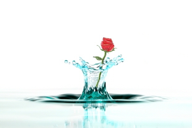 Water Drop Artist 정미수 '나를 위한 동화'(김한정 기자)