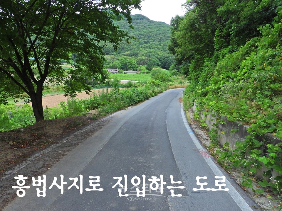 흥법사지삼층석탑(興法寺地 三層石塔),진공대사탑비(眞空大師塔碑)