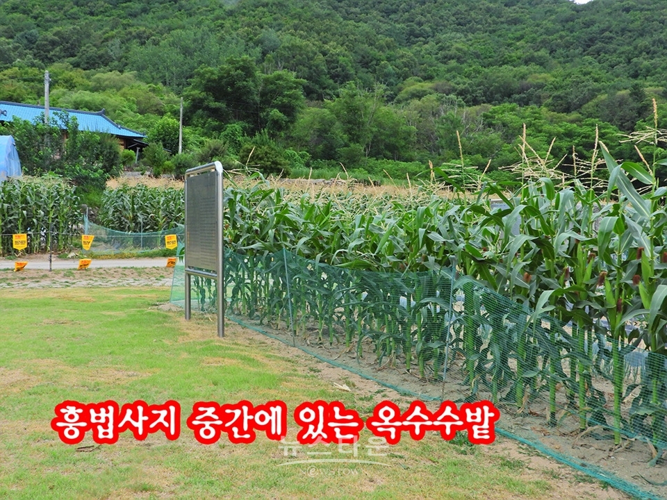 흥법사지삼층석탑(興法寺地 三層石塔),진공대사탑비(眞空大師塔碑)