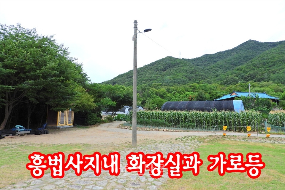 흥법사지삼층석탑(興法寺地 三層石塔),진공대사탑비(眞空大師塔碑)