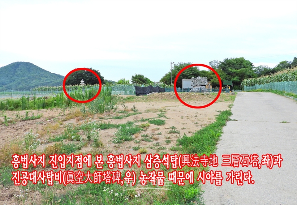 흥법사지삼층석탑(興法寺地 三層石塔),진공대사탑비(眞空大師塔碑)