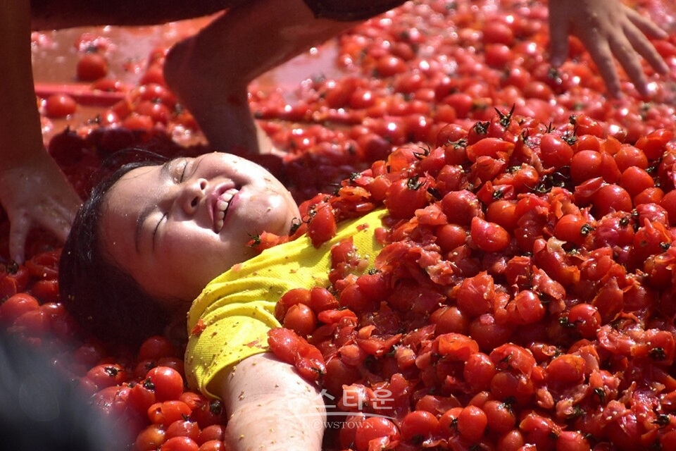 둔내 토마토축제
