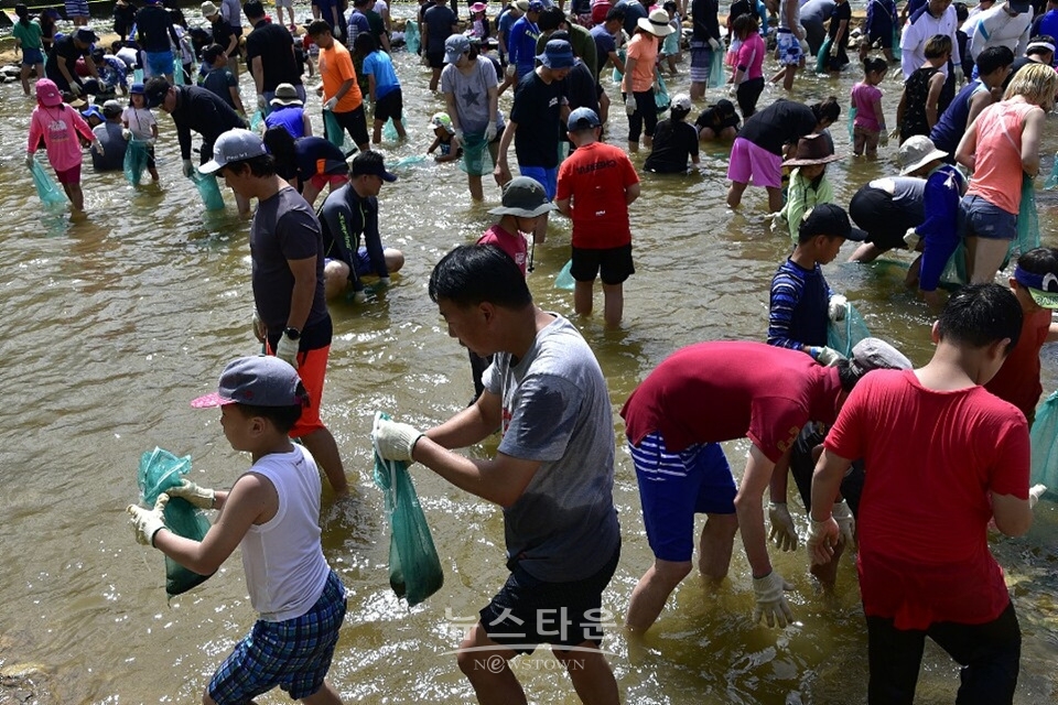 둔내 토마토축제