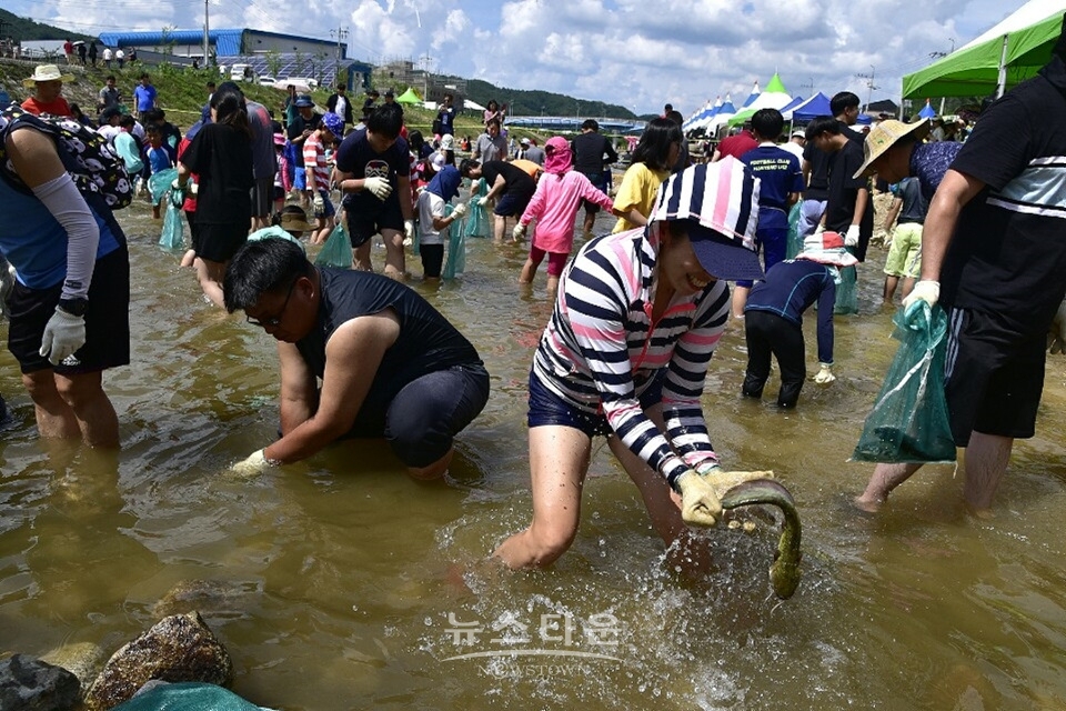 둔내 토마토축제