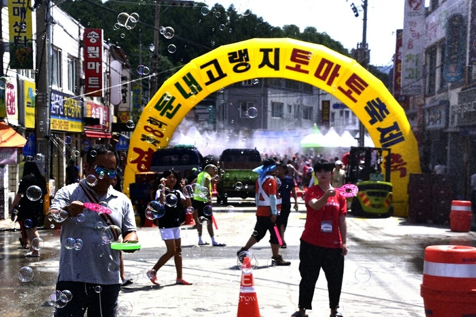 둔내 토마토축제